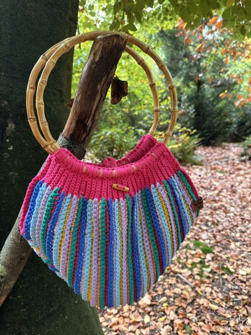 Kleurrijk Reverso Bag  | haakpakket